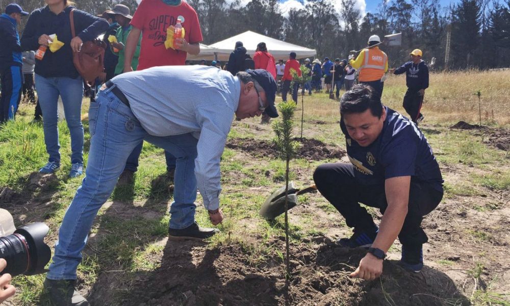 Jornada De Arborizaci N Para Reponer Los Rboles Talados En La Av