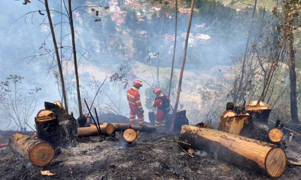 Con Estas 5 Acciones Puedes Evitar Incendios Forestales En Ecuador