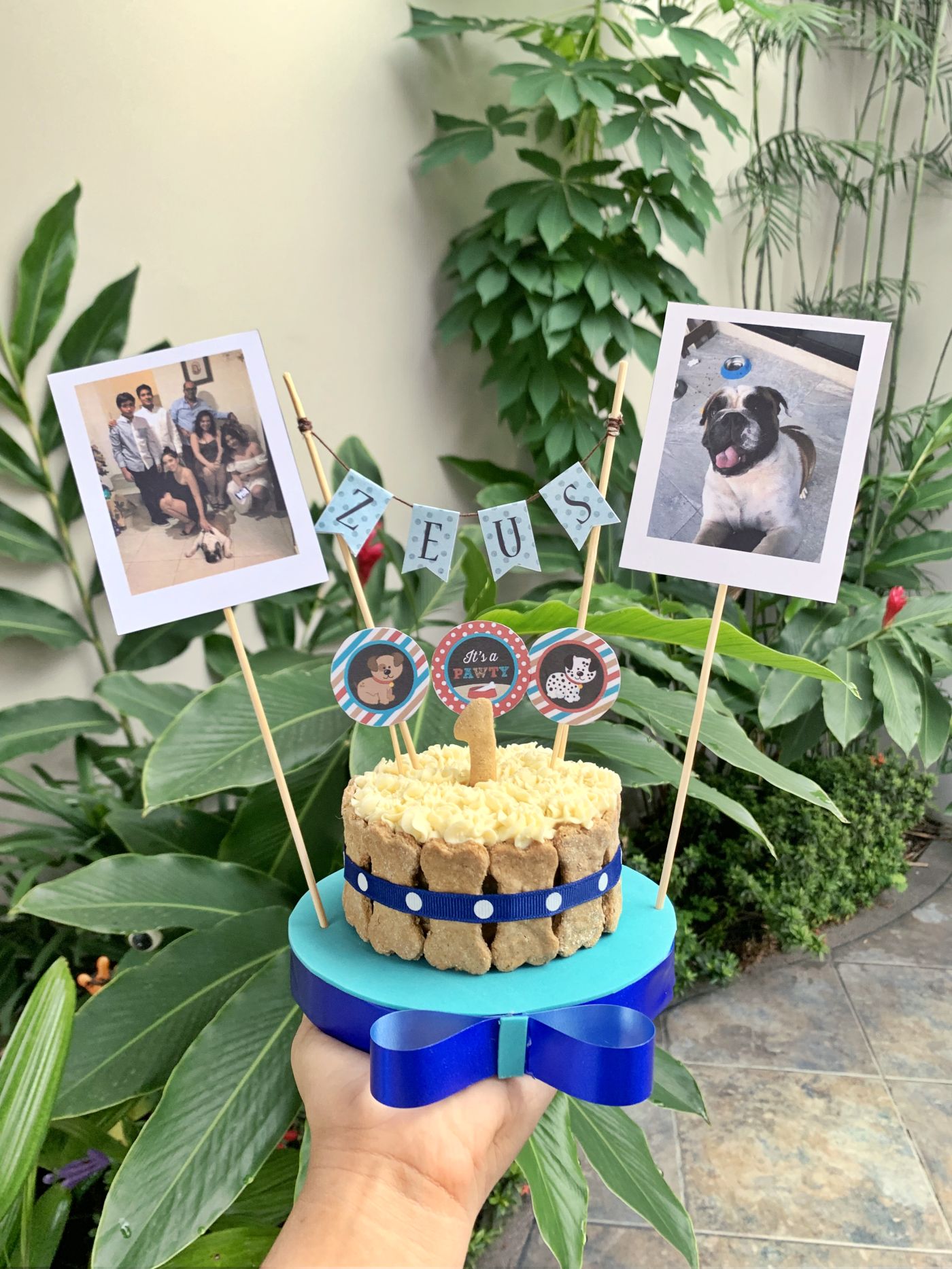 Celébrale el cumpleaños a tu mascota con un pastel a su altura - Qué  Noticias