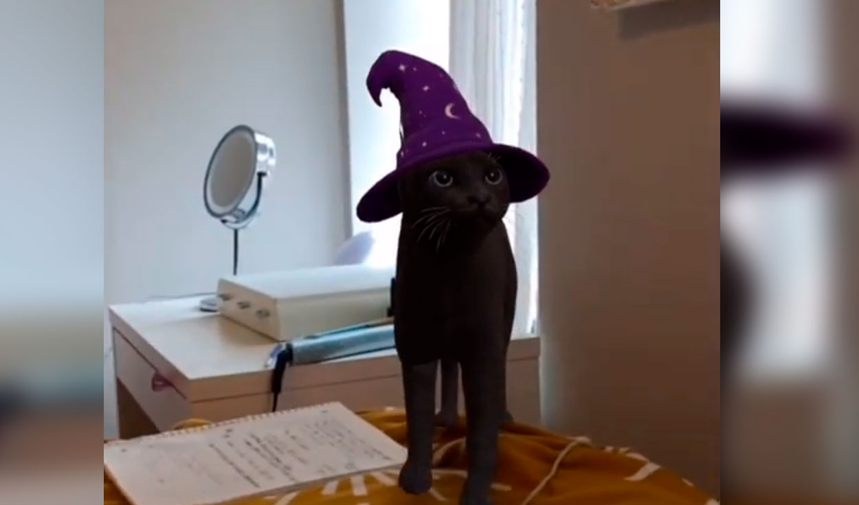 Google se une a Halloween con aplicación de mascotas y objetos en 3D