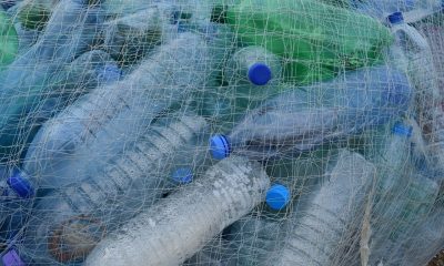 reciclaje plástico