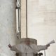 Vaticano papa