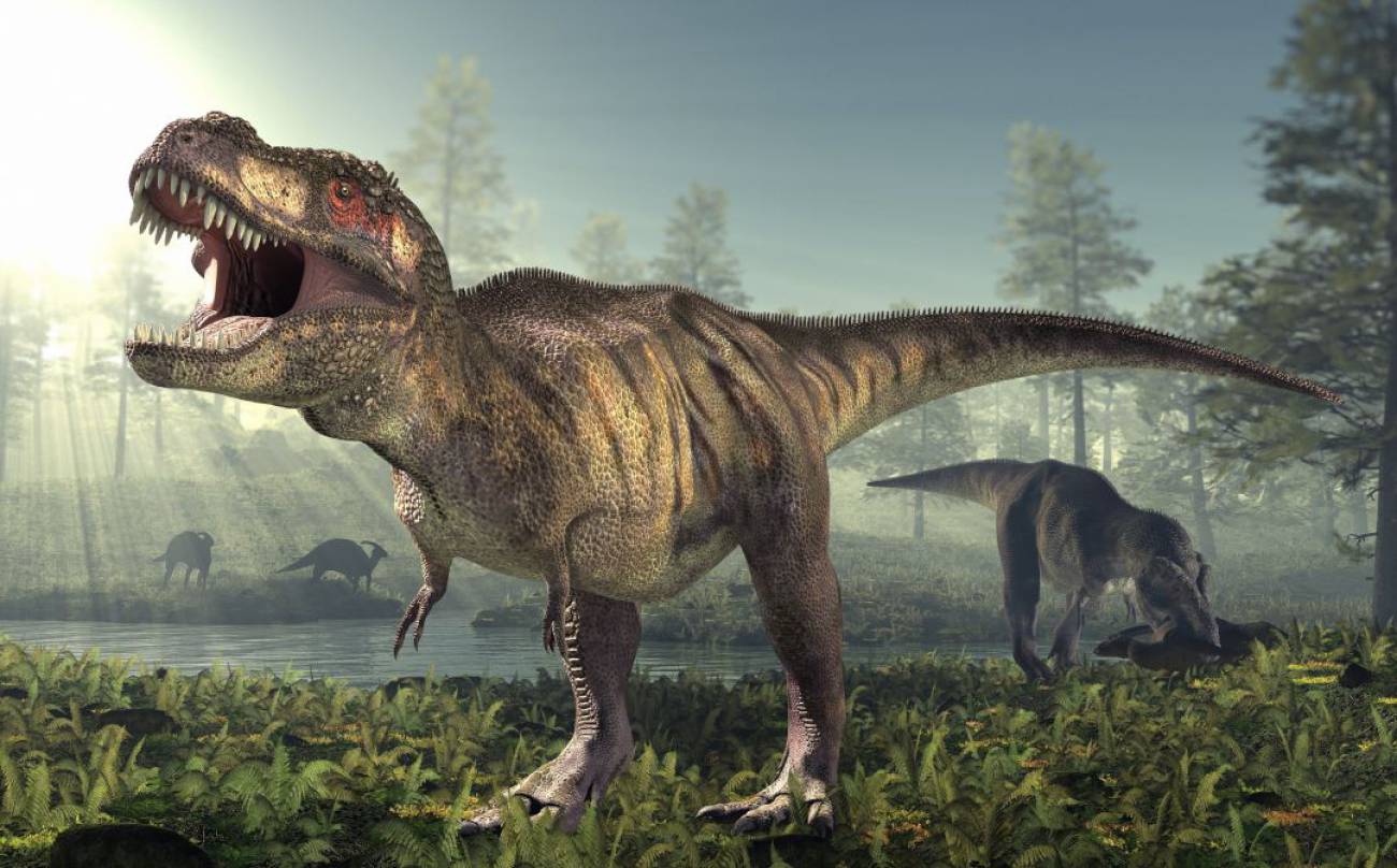 Existe el excremento fosilizado de Tiranosaurio Rex y luce de esta manera