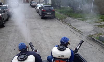 fumigación en Guayaquil
