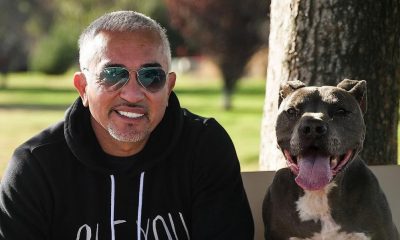Cesar Millan Nuevo Programa Recomendaciones para educar perros