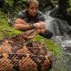anfibios y reptiles de Ecuador