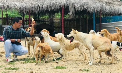 rescate de animales en Manta