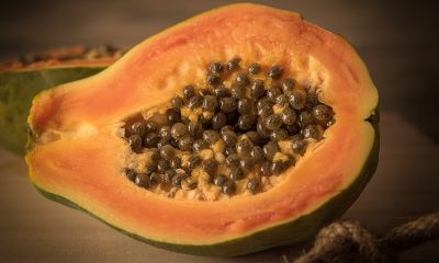 semillas de papaya