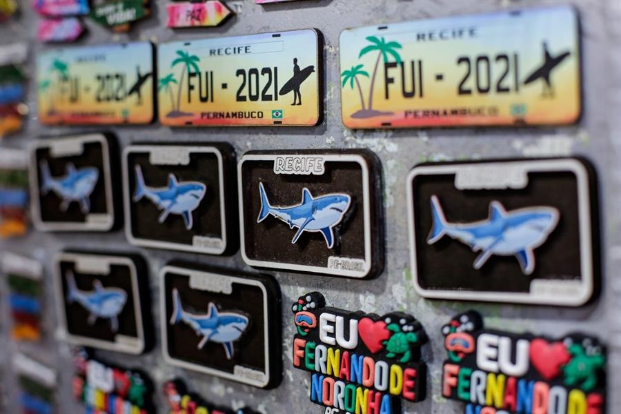 Tiburones Brasil