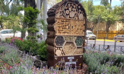 hoteles polinizadores para abejas