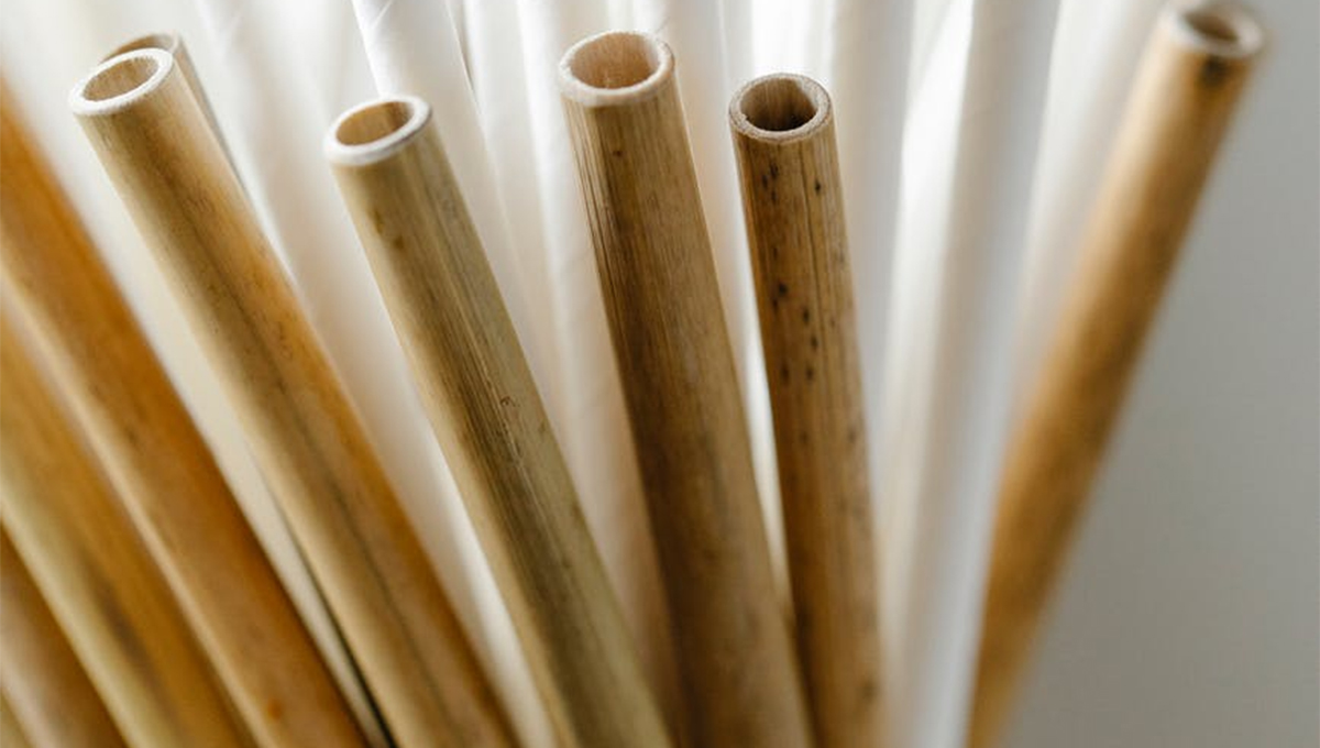 Sorbetes de bambú