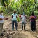 Agricultores de centroamérica son muy solictados en Estados Unidos