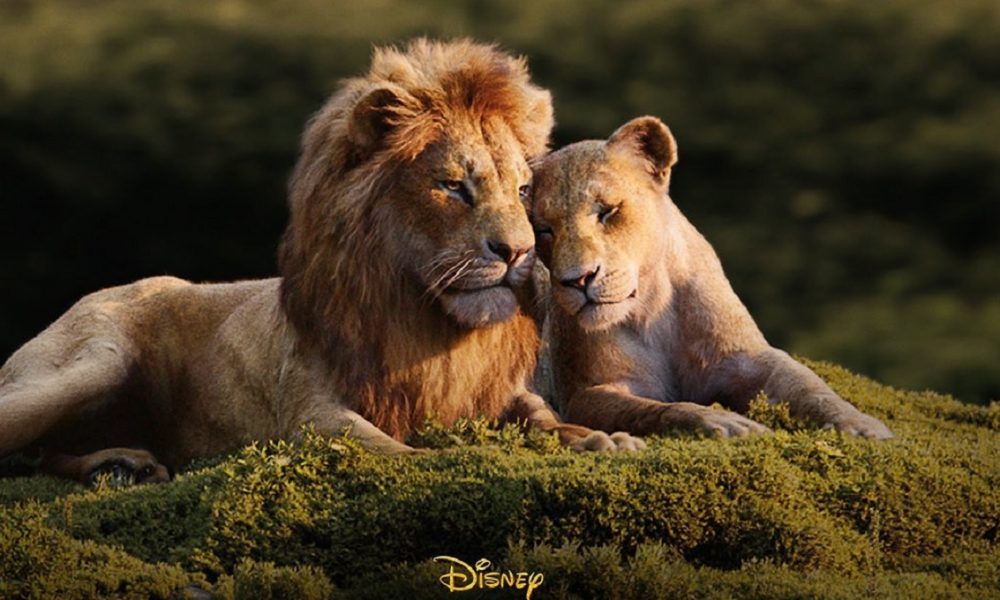 Disney Prepara El Rey León 2 ¿dónde Ver La Versión Original Con Pasha Lee 2448