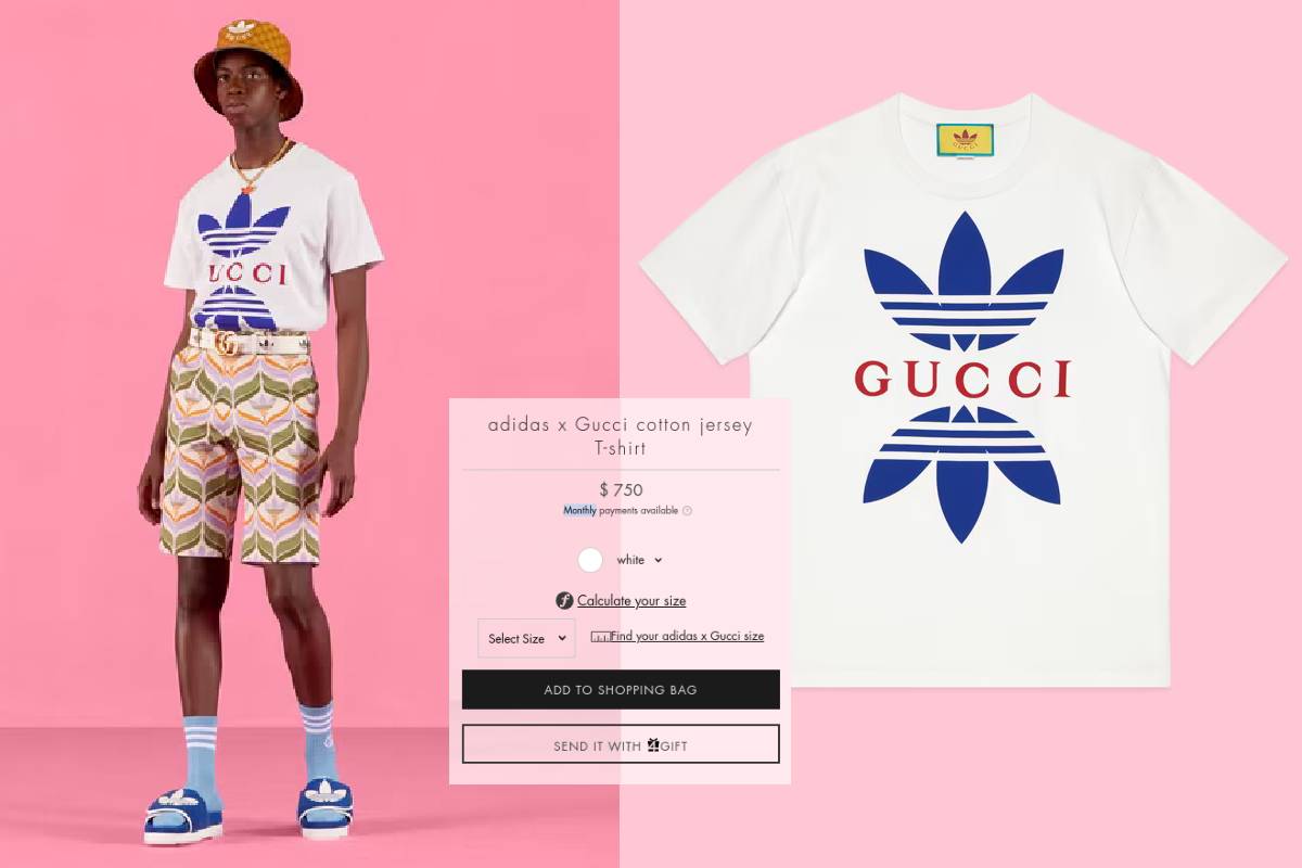 Adidas Gucci T Shirt precio