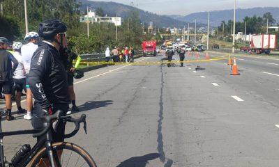 Ruta Viva