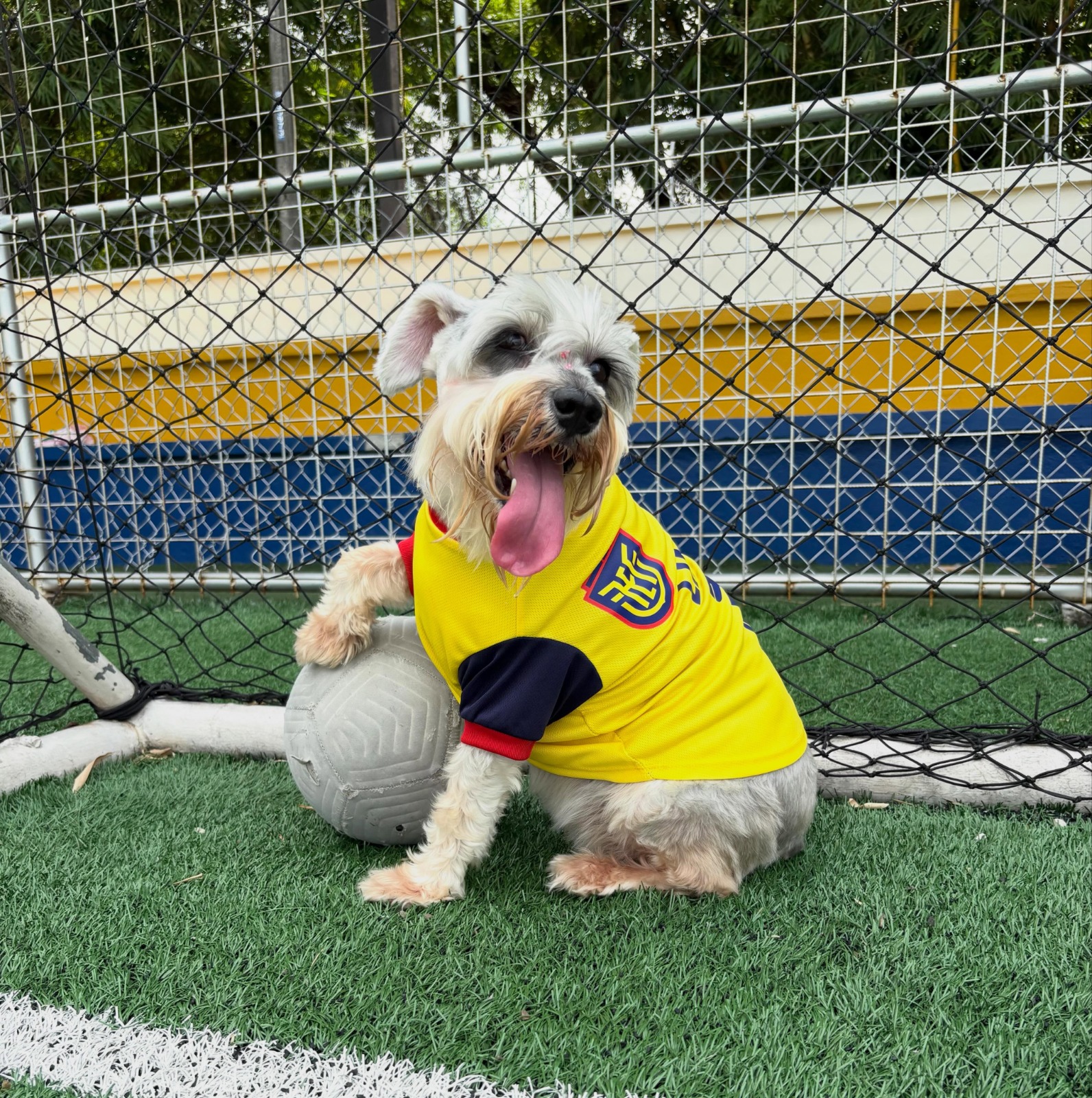 El Mundial 2026 impulsa el comercio hasta con ropa para mascotas